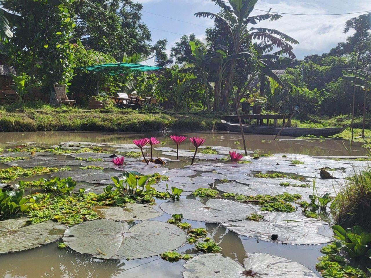 Mekong Daniel Homestay Can Tho Exteriér fotografie
